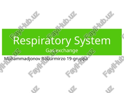 respiratory system — PPTX