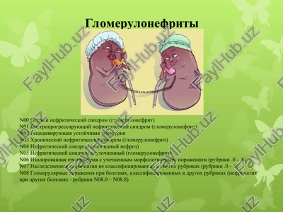 glomerulonefriti — PPT