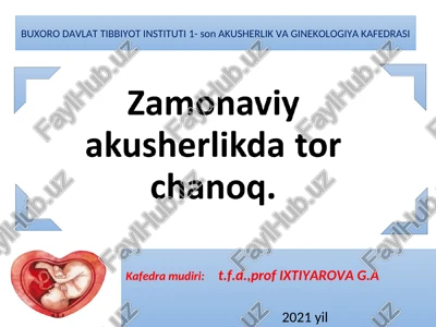 tor chanoq anatomiyasi — PPT