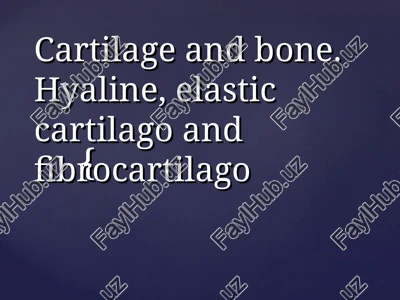 cartilage and bone — PPT