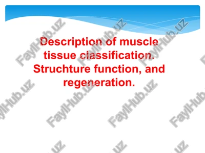 description of muscle tissue classification — PPT
