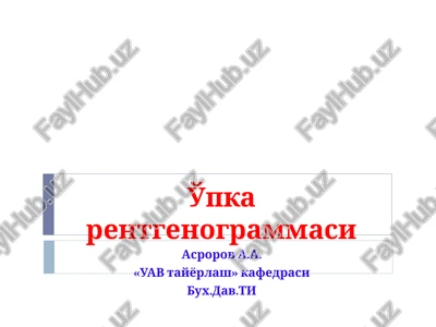 o'pka rentgenogrammasi — PPT