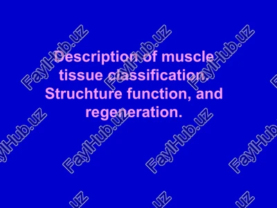 muscle tissue classification — PPT