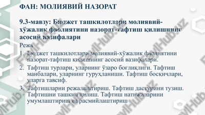 byudjettashkilotlar ixtisosligi faoliyatining nazorat-taftish — PPTX