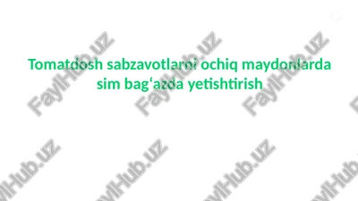 tomatdosh sabzavotlarni ochiq maydonlarda sim bag‘azda yetishtirish — PPT