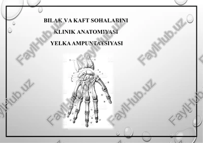bilakva kaftsohalarini — PPTX