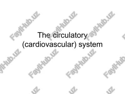 the circulatory (cardiovascular) system — PPT