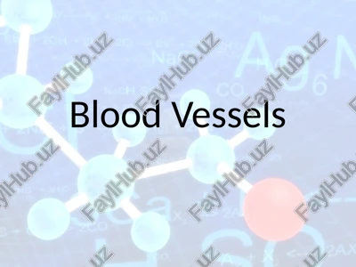 blood vessels — PPTX