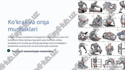 ko'krak va orqa mushaklari — PPTX