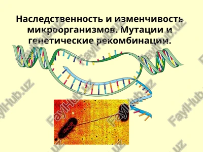 nasledstvennost va mikroorganizmlarning o'zgaruvchiligi — PPT