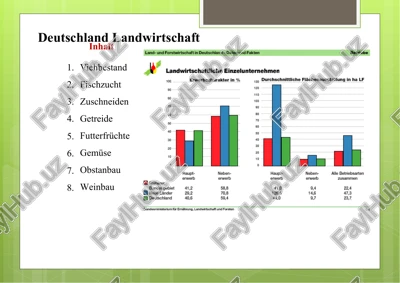 deutschland landwirtschaft — PPTX