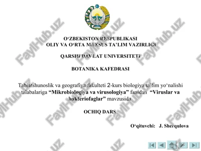viruslar va bakteriofaglar — PPT