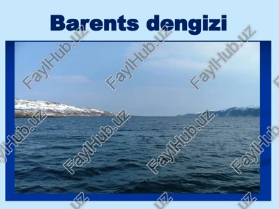 barents dengizi — PPTX