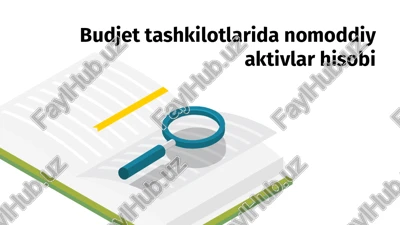 budjet tashkilotlarida nomoddiy aktivlar hisobi — PPTX