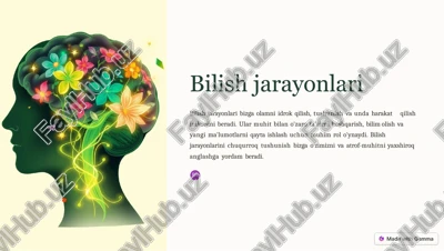 bilishjarayonlari — PPTX