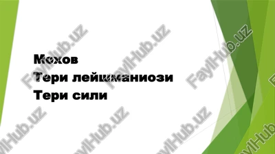 moxov — PPTX