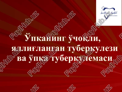 o'choqli tuberkulyoz — PPT