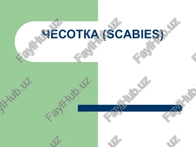 chesotka (scabies) — PPTX