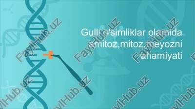 gulli o'simliklar olamida amitoz,mitoz,meyozni ahamiyati — PPTX