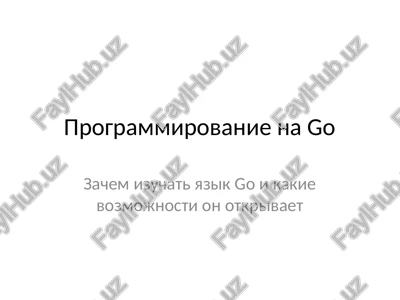 programmirovanie na go — PPT