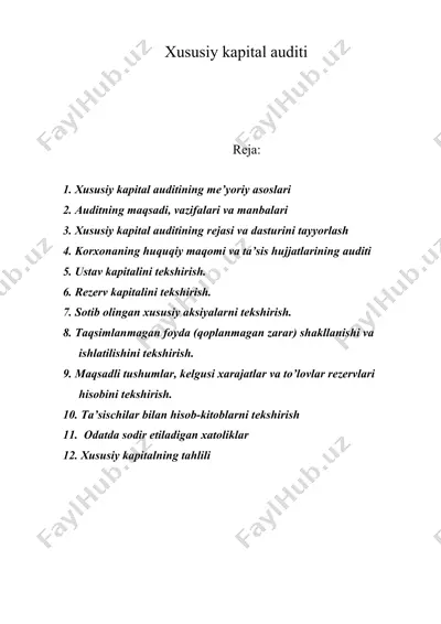 xususiy kapital auditi — DOC