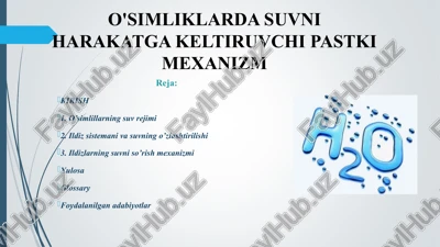 o'simliklarda suvni harakatga keltiruvchi pastki mexanizm — PPT