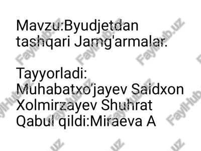 byudjetdan tashqari jamg'armalar — PDF