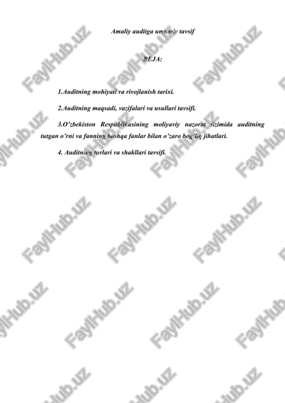 amaliy auditga umumiy tavsif — DOCX