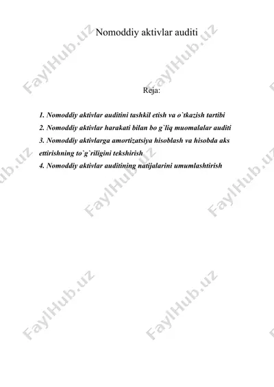 nomoddiy aktivlar auditi — DOC