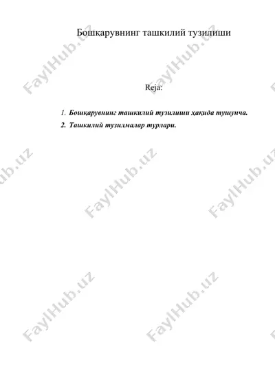бошқарувнинг ташкилий тузилиши — DOC