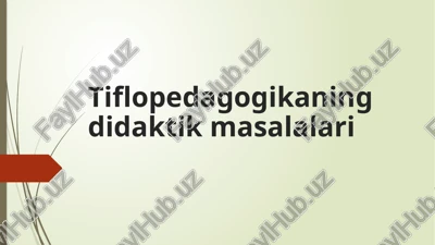 tiflopedagogikaningdidaktikmasalalari — PPTX