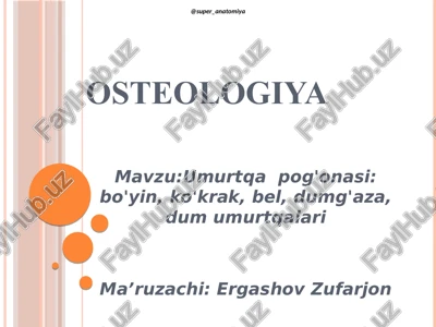 osteologiya — PDF