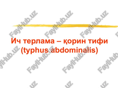 typhus abdominalis — PPT