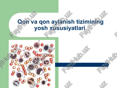 qon aylanish tizimi — PPT