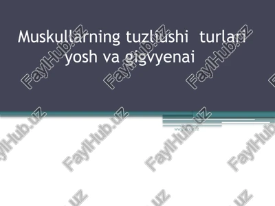 muskullarning tuzilishi — PPTX