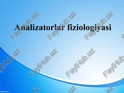 analizatorlarfiziologiyasi — PPTX