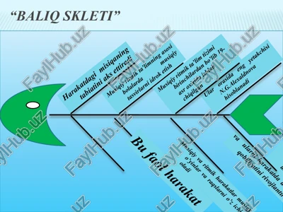 baliq skeliti, klaster — PPTX