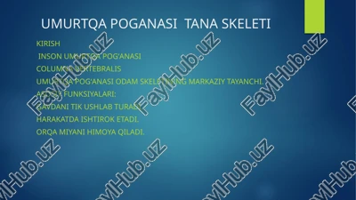 umurtqa poganasi tana skeleti — PPTX