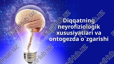 diqqatning neyrofiziologik xususiyatlari va ontogenezda o`zgarishi — PPTX