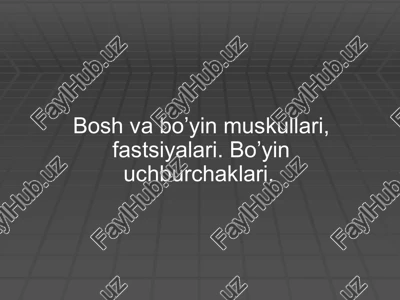 boʼyin muskul va fasyalari — PPTX