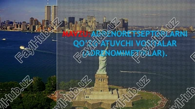 adrenoretseptorlarni qo’zg’atuvchi vositalar (adrenomimetiklar) — PPTX
