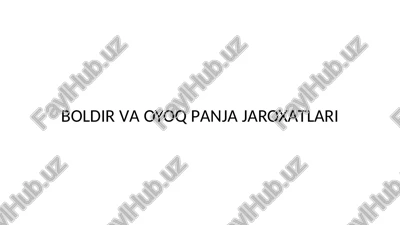 boldir vaoyoqpanjajaroxatlari — PPTX