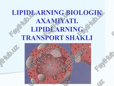 lipidlarning biologikaxamiyati. lipidlarning transportshakli — PPTX