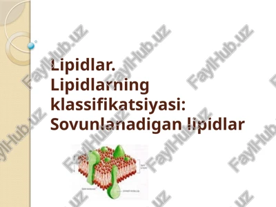lipidlar — PPTX