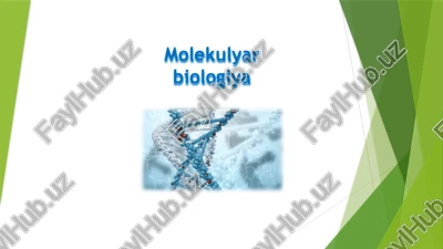 molekulyarbiologiya — PPTX
