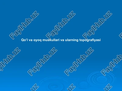 qo’l va oyoq muskullari va ularning topografiyasi — PPTX