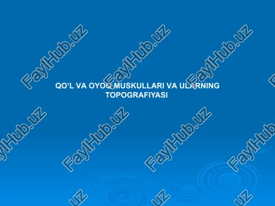 qoʼlvaoyoq muskullari vaularning topografiyasi — PPTX