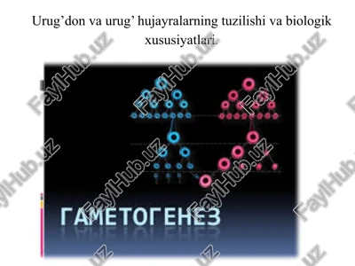 urug’don va urug’hujayralarning tuzilishi va biologik xususiyatlari — PPTX
