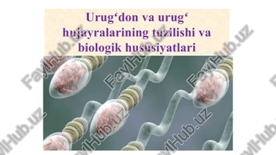urugʻdon va urugʻ hujayralarining tuzilishi va biologik hususiyatlari — PPTX