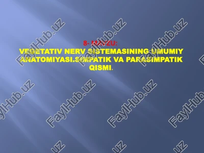 vegetativnervsistemasining umumiya anatomiyasi — PPTX
